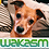 wakasm